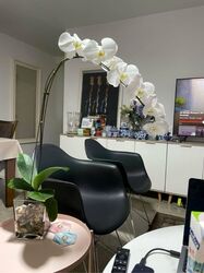 Segar Road (Bukit Panjang),  #506925541
